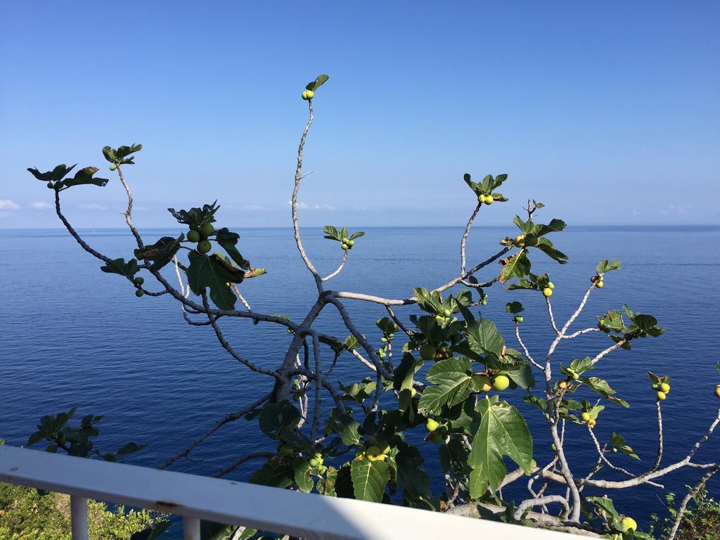 Costa Viola Ξενοδοχείο Palmi Εξωτερικό φωτογραφία