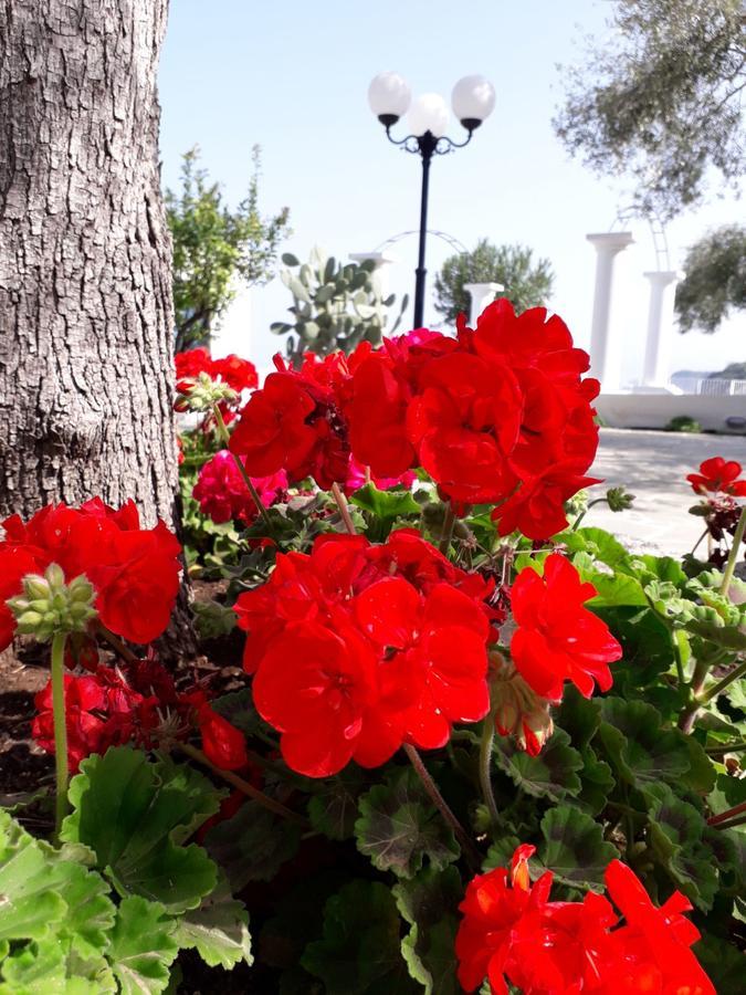 Costa Viola Ξενοδοχείο Palmi Εξωτερικό φωτογραφία